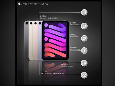 Apple IPAD MINI Infographic apple design graphic design infographic ipad ipad mini