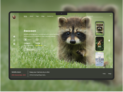 Wildlife Photography - Web UI