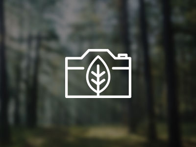 Feeling Wild Photography camera leaf logo nature photo photography