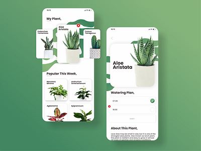 Plant's App app apps branding design graphic design green illustration inspiration modern modern uiux plant ui uiux ux