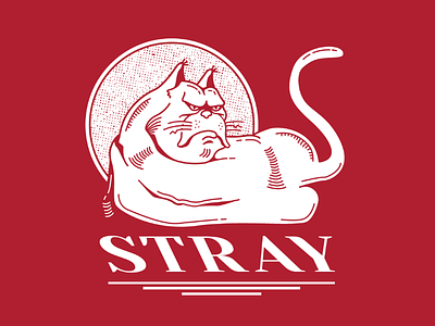 Stray Cat cat grumpy hand drawing illustration mean red stray
