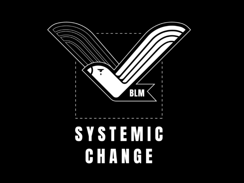 Systemic Change blm check mark dove fuck trump illustration november 2020 responsibility vote