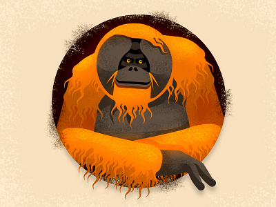 The Real King ape illustration king monkey orange orangutan request