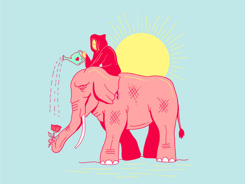 A little Rain drawing rose illustration elephant