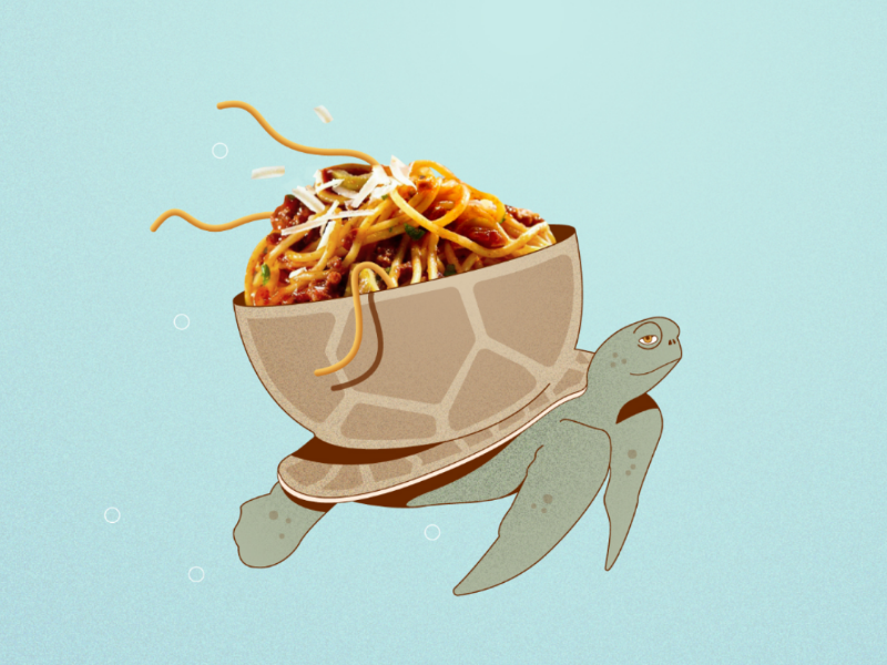 Pasta and Turtle 🐢 experiment spaghetti collage illustration turtle pasta