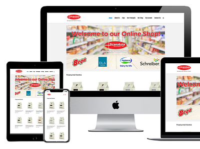 ScanAsia Online Shop ecommerce elementor website wordpress