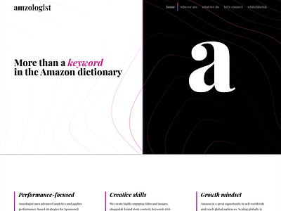 amzologist - Amazon B2B Web Design - Creatif Agency