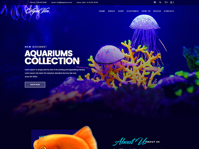 Aqua branding graphic design websitedesign