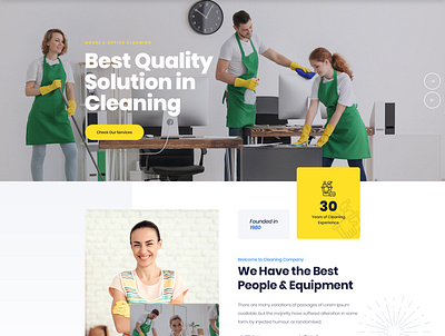 Anna lees Cleaning service branding design graphic design websitedesign