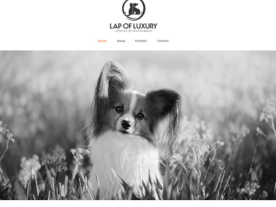 Lap of Luxury Lifestyle Pet Photography branding design graphic design ui ux websitedesign