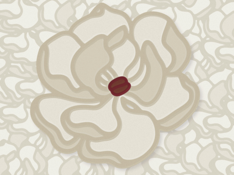 Coffee Bean Magnolia illustration vector flower magnolia