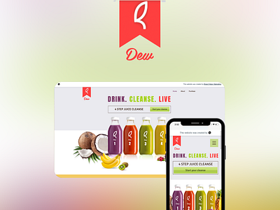 Dew Juice branding design illustration logo seo ui web design web development web management webdesign