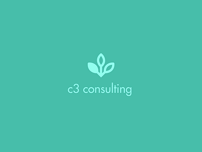 C3 Consulting