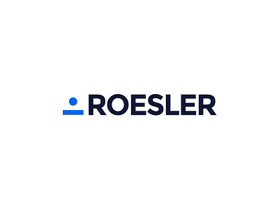 Roesler logo 1 aerospace air avionics brand branding illustration kikillo logo typography