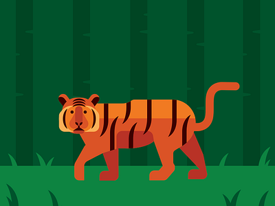 Tiger animal illustration jungle vector