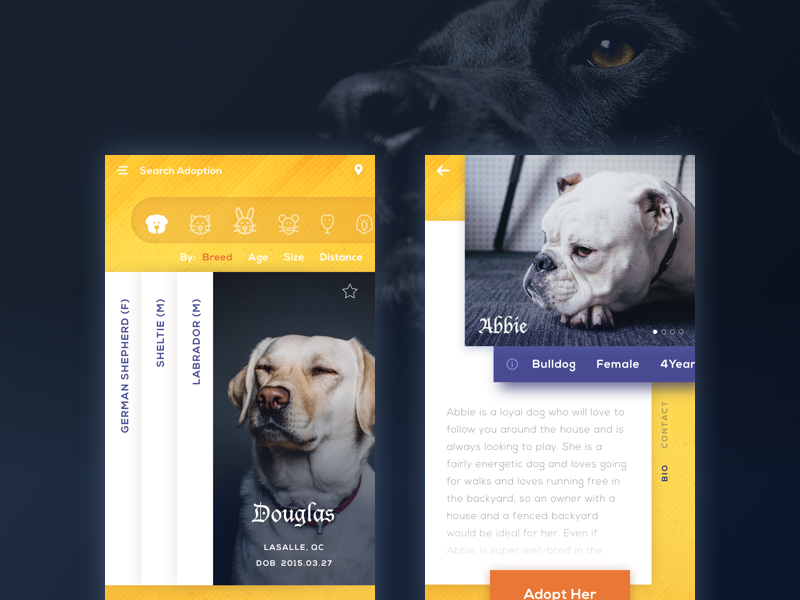 Pet adoption app. by Yi Li on Dribbble