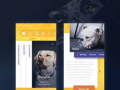Pet adoption app. adoption animal app dog filter information list mobile pet phone yellow