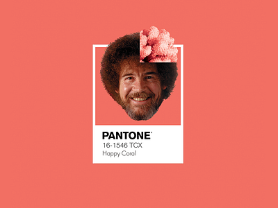 Pantone color of the year // Happy coral bob ross color coloroftheyear colour coraline happy coral living coral pantone