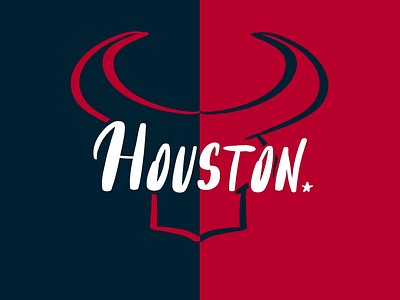 Houston Texans typography