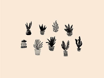 Cacti by Saturday Studio on Dribbble