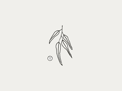 Since 2011 branding eucalyptus illustration leaf leaves logo nature organic