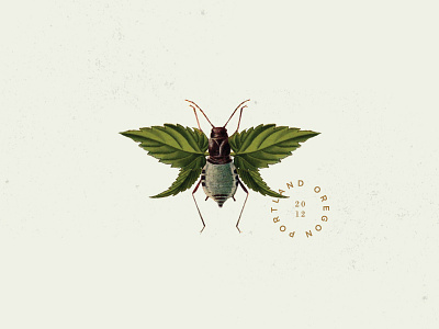 PNW (cont.) botany branding collage illustration insect