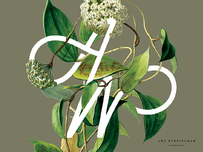 Amy Winningham Photography botanical branding lush monogram photographer wild