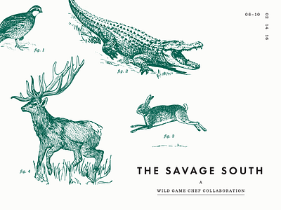 The Savage South design illustration poster typography