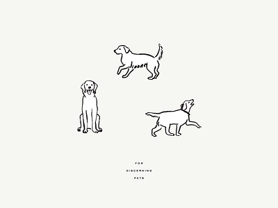 For Discerning Pets dogs illustration pets