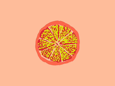 Citrus! citrus fresh fruit illustration summer vector