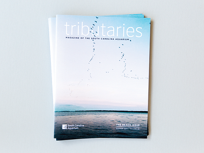 Tributaries charleston design editorial illustration magazine photography print