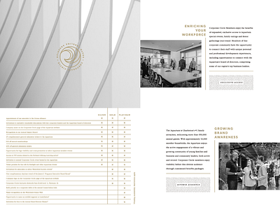 Layout branding brochure design layout print typography