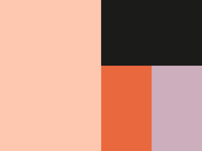 Palette by Saturday Studio on Dribbble