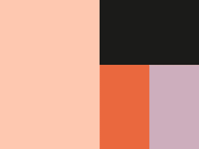 Palette by Saturday Studio on Dribbble