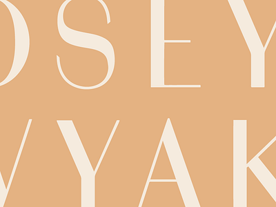Sans Serif branding identity letters type typography