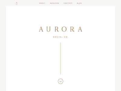 Aurora border branding navigation scroll typography web design website