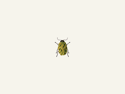 Hops Beetle beetle botanical bug hybrid illustration plant