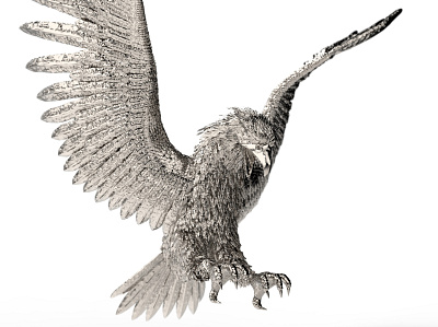 Silver Eagle Modelling and Rendering