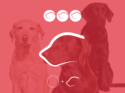 Concept Labradors branding dog design graphic design inspiration logo logodesign minimal design pet design