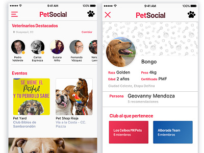 Pet App Home dogs social network user card user inteface