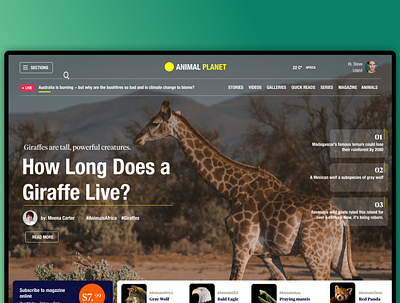 Magazine Online UI app concept design ui uidesign user interface