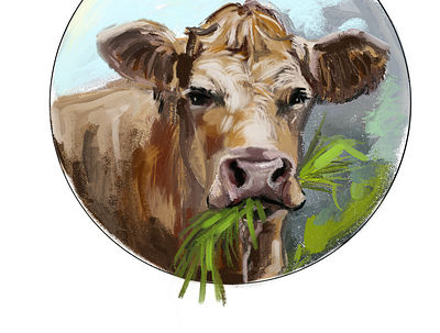 Grass fed animal portrait cow art design digital painting hand drawn illustration painting rural art