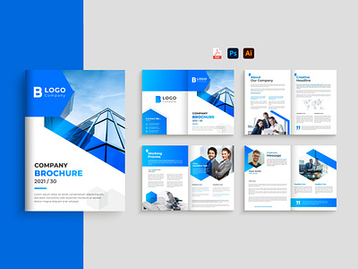 Business Brochure & Company Profile Design