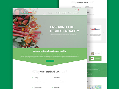 Redesigning the homepage of Euro food group. figma foodtech foodtech landing page homepage design landing page design ui ui design user interface webpage