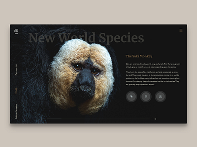 Featured wildlife page for a zoo