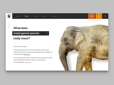 World Wildlife Fund Concept Page