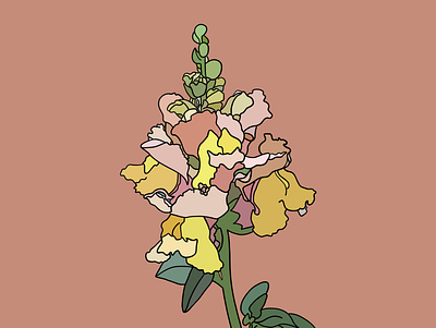 Snapdragon design flower garden graphic design illustration plant procreate