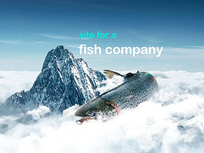 RibaHit  fish-company