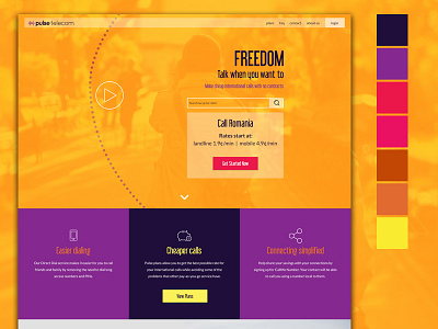 Website Concept for International Calling Company telecom web design website