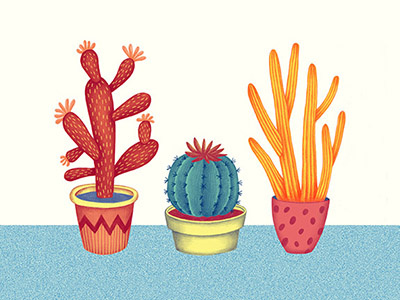 Cactus cactus drawing pencil plants